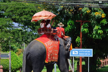 Riding Elephants: Ayutthaya, Thailand. 15-minute ride - rather pricey for such a quick excursion....