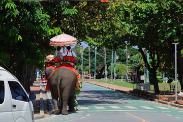 Riding Elephants: Ayutthaya, Thailand. 15-minute ride - rather pricey for such a quick excursion....