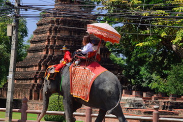 Riding Elephants: Ayutthaya, Thailand. 15-minute ride - rather pricey for such a quick excursion....