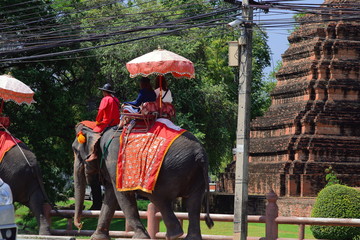 Riding Elephants: Ayutthaya, Thailand. 15-minute ride - rather pricey for such a quick excursion....
