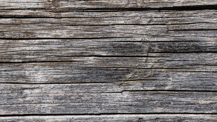 Fototapeta premium Aged wood surface texture