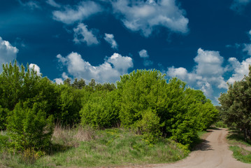 Road and trees against a blue sky with clouds