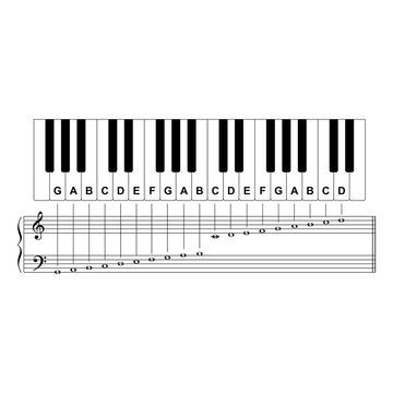 Piano Keyboard Diagram - Piano Keyboard Layout    On White Background Vector Illustration