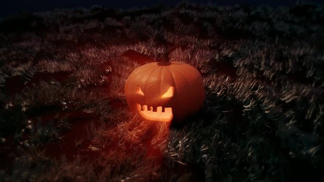 Shining halloween pumpkin at the field of grass