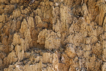Closeup of natural soil wall in sunlight.