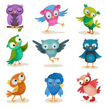 Cute colorful owlets set, sweet owl birds cartoon characters vector Illustrations on a white background
