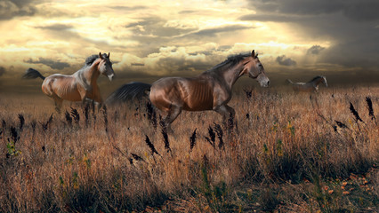 free horses gallop across the steppe