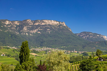 Weinanbau am Kalterer See, Südtirol