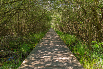 Biotop am Kalterer See, Südtirol 