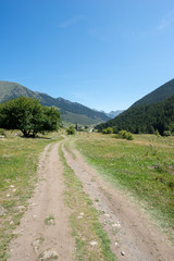 Fototapeta na wymiar Road to Montgarri through the mountain of Aran Valley