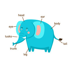 Illustration of elephant vocabulary part of body.vector