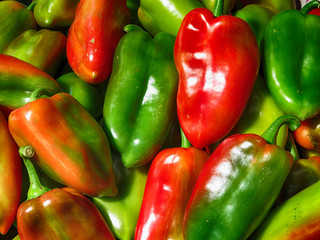 Fresh green and red paprika on the market
