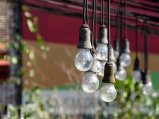 Hanging light bulbs in terrace of abandoned caffe.