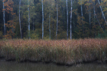 Jesienny brzeg © Tomek Kiecana