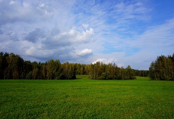 Obraz premium Скрабатуны. Поле.