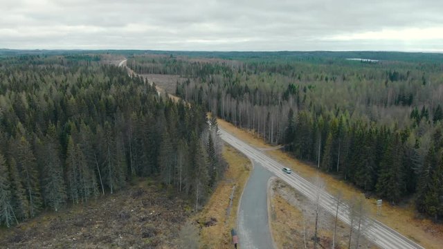 Aerial, drone shot, flying towards a car on a  road, between pine trees and leafless, birch forest, on a cloudy, autumn day, in Juuka, North Karelia, Finland