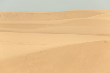 desert