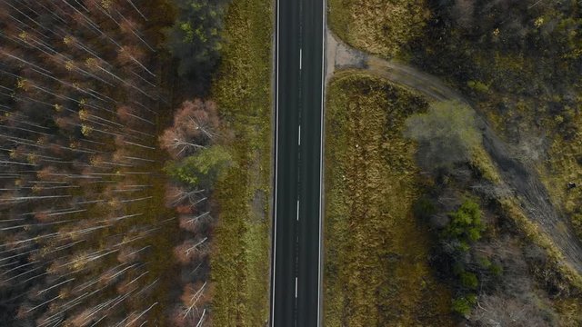Aerial, rising, drone shot, above cars on a dark, asphalt road, between pine trees and leafless, birch forest, on a sunny autumn day, in Juuka, North Karelia, Finland