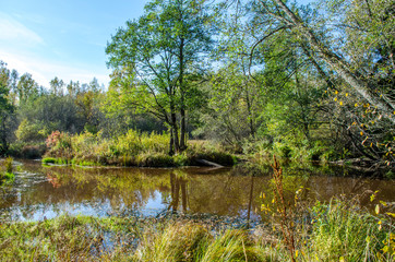 forest river in autumn