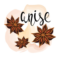Decorative composition anise stars, cloves. Spice set.