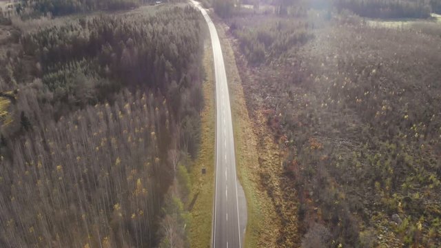 Aerial, tilt, drone shot, of a dark, asphalt road, between pine trees and leafless, birch forest, sun flares, on a sunny autumn day, in Juuka, North Karelia, Finland