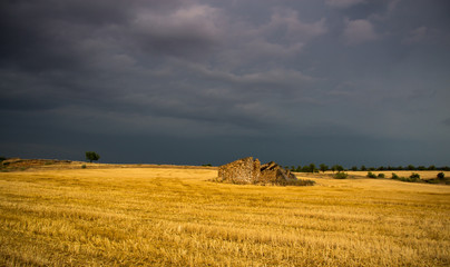 paisaje natural con cielo