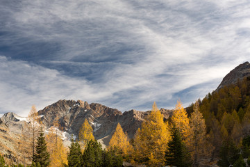 Panorama alpino, Preadrossa, Italia