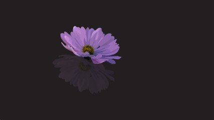 Purple flower illustration and mirror shadow.