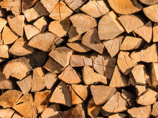 Wood texture background.