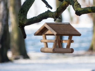 Winter Feed for birds. 