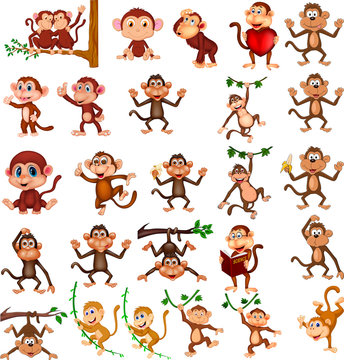 Cartoon happy monkey collection with different actions