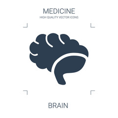 brain icon