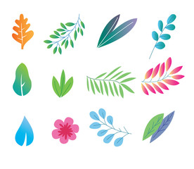 Vector set of tropical leaves and flower