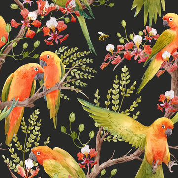 Watercolor tropical parrots vector pattern
