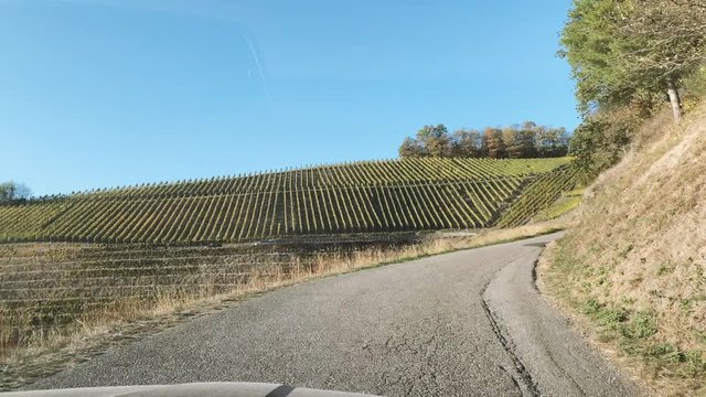 Car driving on vines fields in Durbach a few meters from Burg Staufenberg castle, Baden-Wurttemberg, Germany