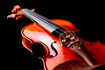 Violin Orchestra Musical Instruments