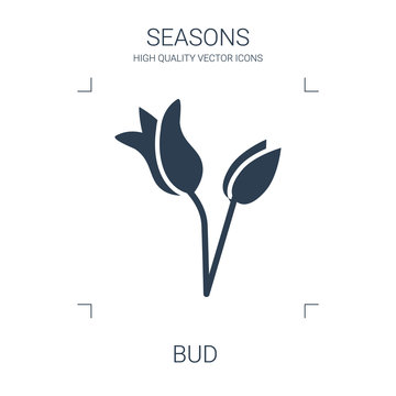 Bud Icon