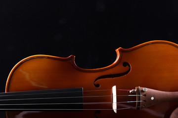 Violin Orchestra Musical Instruments © christianchan
