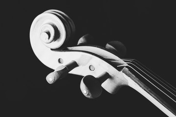 Violin Orchestra Musical Instruments