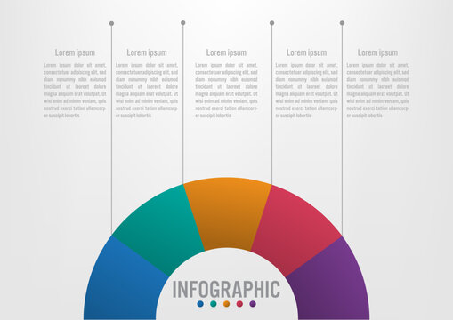 Business infographic template with 5 options half circular shape