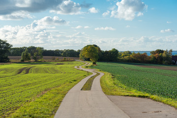 Fototapeta na wymiar Rural area as typical part of the Rügen island in the north of Germany. Winter cereals were sown in autumn
