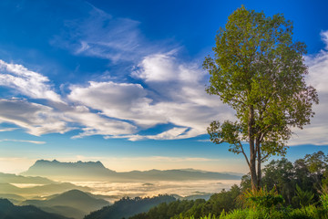 Landscape of sunrise on Mountain at Doi Luang Chiang Dao, ChiangMai Thailand