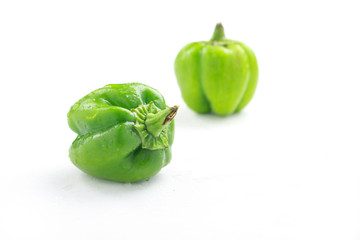 fresh green bell pepper (capsicum) on a white background