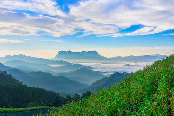 Fototapeta premium Landscape of sunrise on Mountain at Doi Luang Chiang Dao, ChiangMai ,Thailand