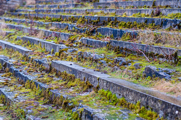 Overgrown with moss steps