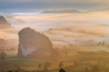 Morning mist at Phu Langka, Thailand