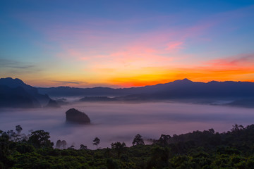 Fototapeta na wymiar Morning mist at Phu Langka, Thailand