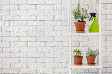 Pots with fresh aromatic herbs and spray bottle on shelving near white brick wall