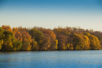 A landscape of a forest in beautiful fall colors on a bank of a calm river
