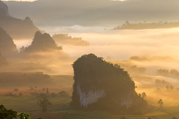 Morning mist at Phu Langka, Thailand